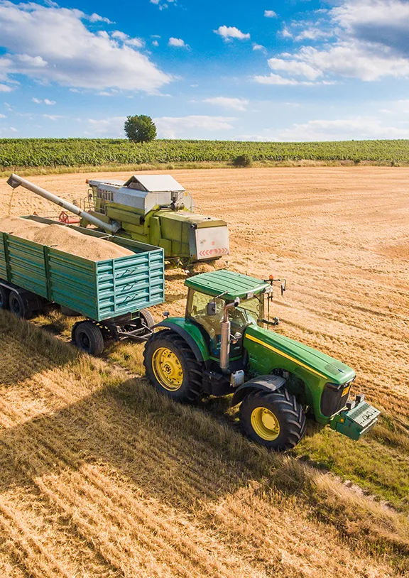 We grow fresh, organic produce using clean methods that protect nature, healthy food.